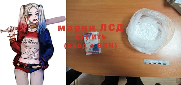 прущие грибы Гусев