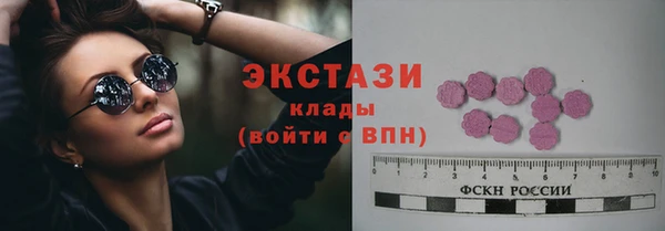 прущие грибы Гусев
