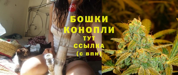 кокс Дмитровск