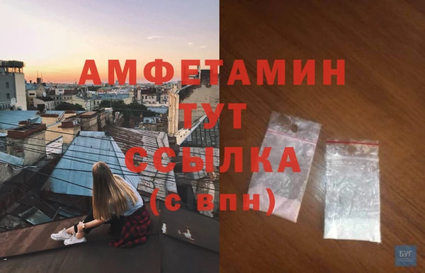 ПСИЛОЦИБИНОВЫЕ ГРИБЫ Вяземский