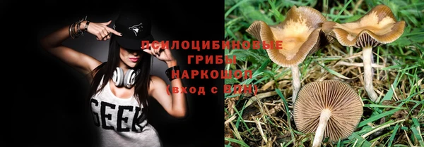 jwh Дмитров