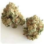 Шишки "White Widow"  (Белая вдова)  Гидропоника -  Бошка VHQ в Гдове