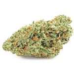 Шишки OG Kush  (Гидропоника, бошки) VHQ в Гдове